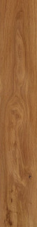 Creto Forest Amber 19.4x120