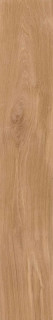 Creto Forest Mild 19.4x120