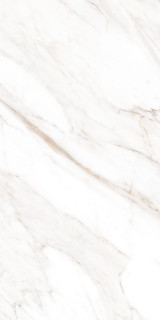Creto Calacatta Gold Polished 60x120