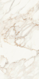 Creto Calacatta Polished 60x120