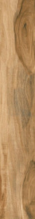 Idalgo Avellano Brown 19.5x120
