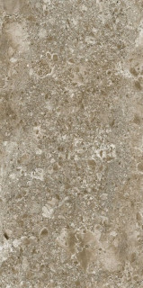 Idalgo Lunar Brown MR 60x120