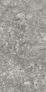 Idalgo Lunar Grey MR 60x120