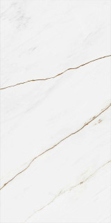 Idalgo Siena White LLR 60x120H1