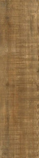 Idalgo Granite Wood Ego Brown LLR 29,5x120
