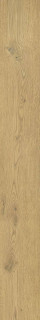 Italon Aura Premium Gold Nat Ret 20x160H0.9