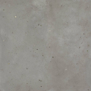 Italon Avantgarde Iron Ret 120x120H0.9
