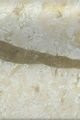 Italon Charme Deluxe River London A. E. 2x3