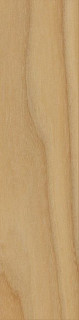 Italon Element Wood Olmo 20x120