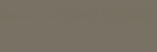 Italon Element Silk Terra 25x75