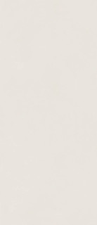 Italon Forum Slim Polar Matt Rect 6mm 120x278H0.6