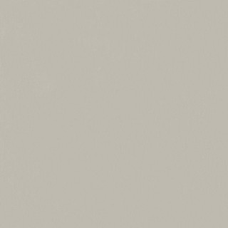 Italon Forum Slim Silver Matt Rect 120x120H0.9