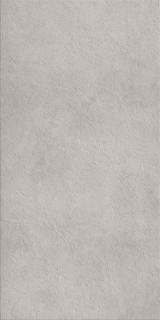 Italon Fossil Grey Str Rect 20mm 60x120H2