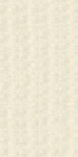 Italon Room Beige Texture 80x40