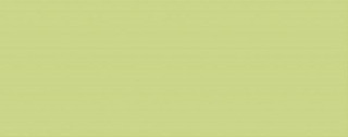 Kerlife Splendida Verde 20,1х50,5