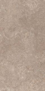 Kerranova Murashki Сappuccino MR 60x120H1
