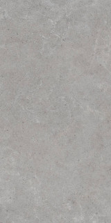 Kerranova Monochrom Gray MR 60x120H1