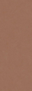 Laminam Rus Gemini Acero 3.5mm 120x300H0.35