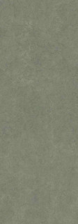 Laminam Rus Gemini Muschio 2.2mm 100x300H0.22