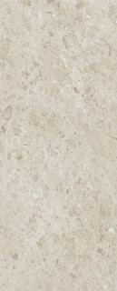 Laminam Rus Rare Pietra Di Gre DNA 5.8mm 120x300H0.58