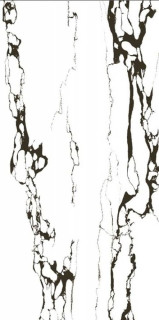Anka Royal Polished 60x120