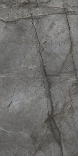 Bien Root Silver Rec Full Lap 60x120