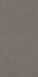 Bien Concept Grey Rec 60x120