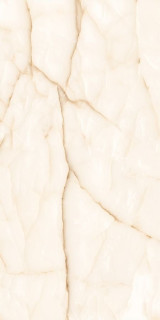 Decovita Onyx Leaf Full Lap 60x120