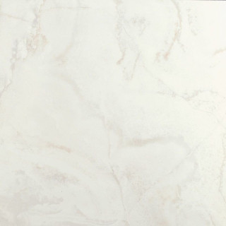 Bien Wild Onyx Ice Rec 60x60