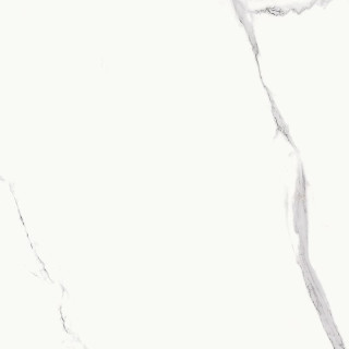 Bien Statuario Goya Matte Rec 60x60