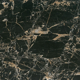 Bien Tiger Black Rec Full Lap 60x60
