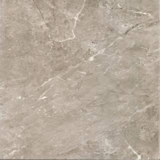 Bien Imperial Glossy Grey Rec 60x60