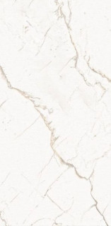 Decovita Armonia Gold Full Lappato 80x160