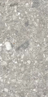 Kutahya Terra Stone Grey Rectified Matt 60x120