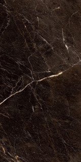 Yurtbay Java Brown Polished Rect 60x120