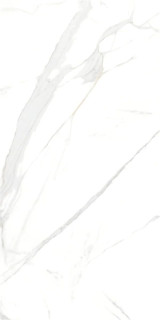 Yurtbay Royal Marble White Polished Rect 60x120