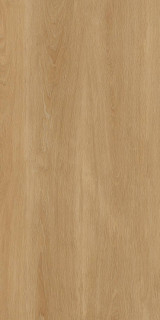 Protiles Albero Beige Matt 60x120H0.9