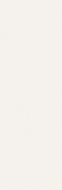 Allegro White Matt. Rec. 40x120