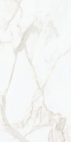 Nocturne White Gold FLPR 60х120