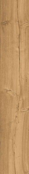 Aqlu Lyptus Honey 20x120