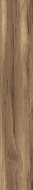 Arcadia Ceramica Fossil Wood Wenge Rustic Wood 20x120H0.85