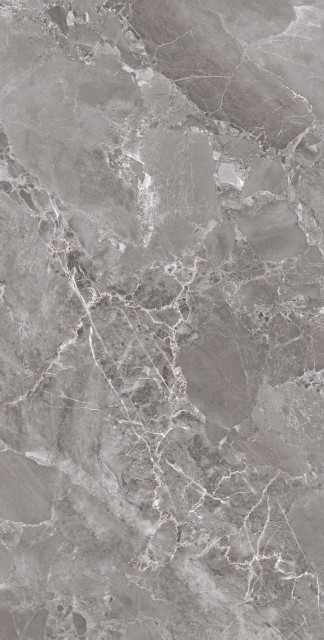 Arcadia Ceramica Modena Grey Full Polished 60x120H0.8