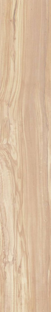Arcadia Ceramica Pearsian Wood Ivory Carving 20x120H0.85