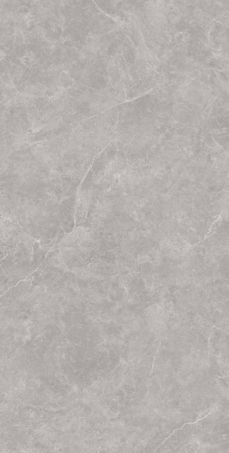 Arcadia Ceramica Oviedo Silver Solido 60x120H0.8