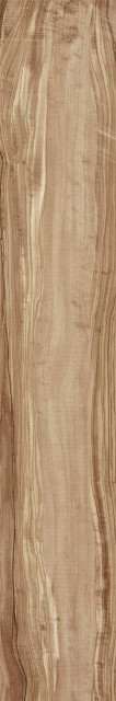 Arcadia Ceramica Pearsian Wood Natural Carving 20x120H0.85