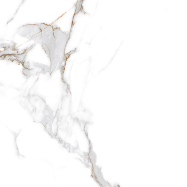 Arcadia Ceramica Statuario Seville Carving 60x60H0.8