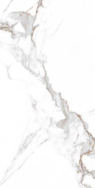 Arcadia Ceramica Statuario Seville Carving Pro 60x120H0.8