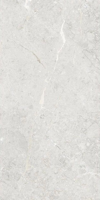 Art&Natura Ceramica Una Pietra Silver Glossy 60x120