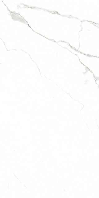 Artcer Marble Silver Shine 60x120