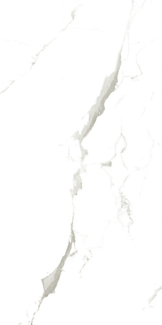 Artcer Marble Vena Fine Statuario 60x120